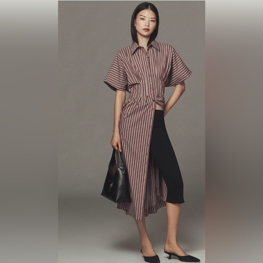 Anthropologie x Exquise Tobie Button-Front Pleated Shirt Dress Size Small NWT